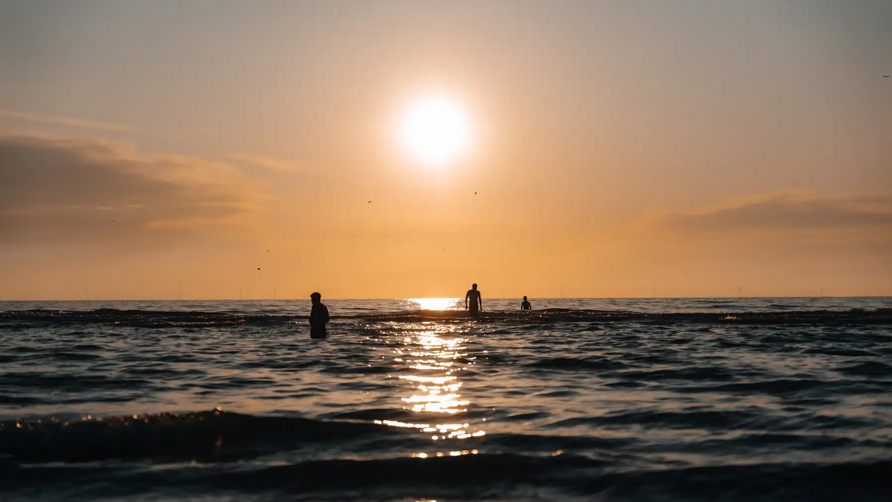 Duindamseslag in Noordwijk