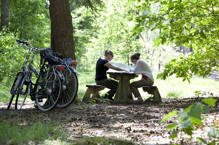 picknicken Buitenplaats De Hildenberg