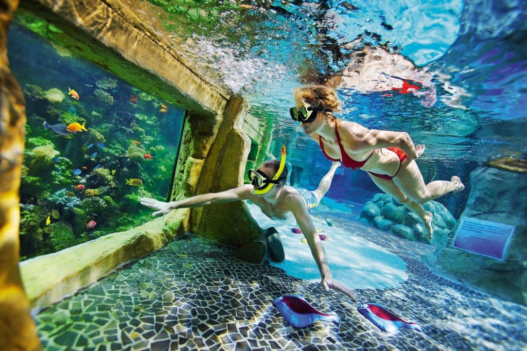 Subtropisch zwembad op een vakantieparken in Nederland