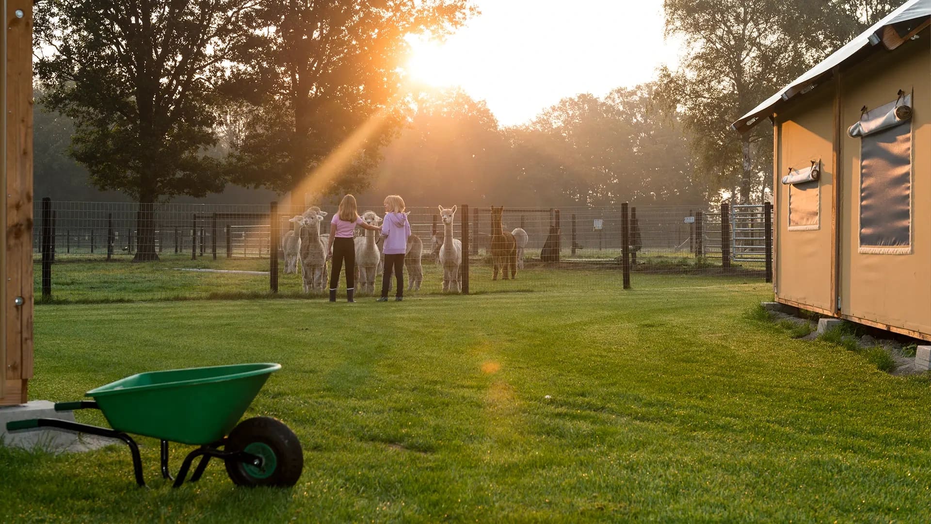 Farmcamps safaritent